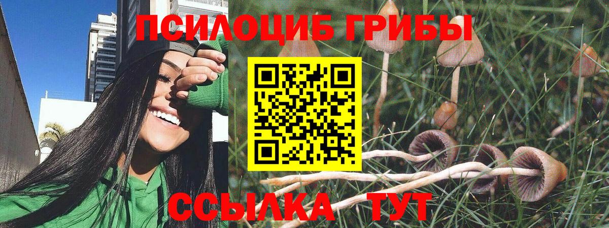Грязи  Псилоцибиновые грибы Psilocybine cubensis  Вход с VPN  Галлюциногенные грибы мицелий 
